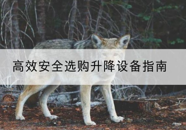 五大连池升降货梯厂家推荐-*安全选购升降设备指南