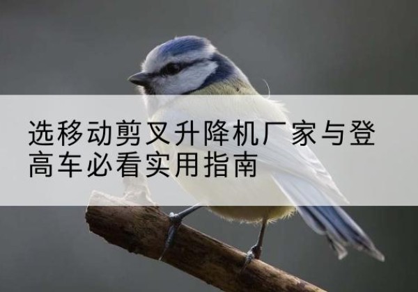 五大连池电动升降机厂家-选移动剪叉升降机厂家与登高车必看实用指南